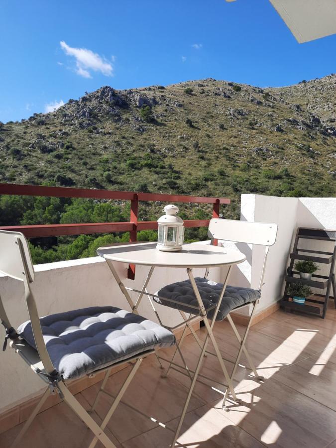 Cozy Estudio "Edificio Siesta 2" Apartman Alcúdia Kültér fotó